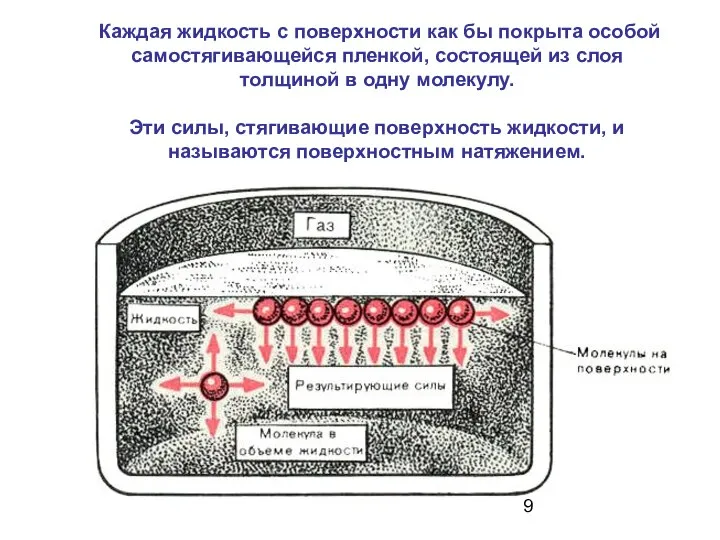 Каждая жидкость с поверхности как бы покрыта особой самостягивающейся пленкой, состоящей