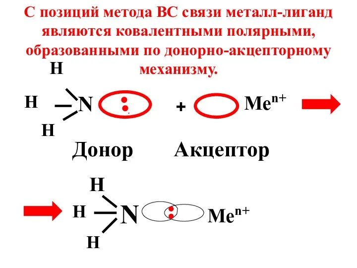 N H H H .●● Донор + Men+ Акцептор N H