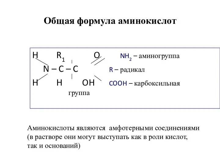 Общая формула аминокислот H R1 O NH2 – аминогруппа N –