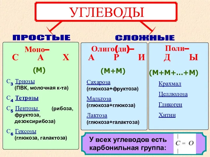 Моно– Олиго(ди)– Поли– С А Х А Р И Д Ы