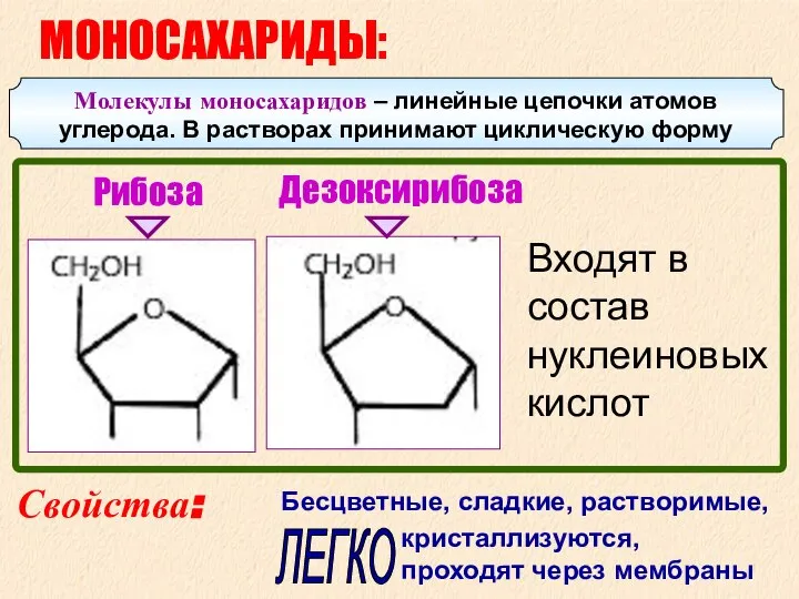 Рибоза Дезоксирибоза МОНОСАХАРИДЫ: Свойства: Бесцветные, сладкие, растворимые, кристаллизуются, проходят через мембраны