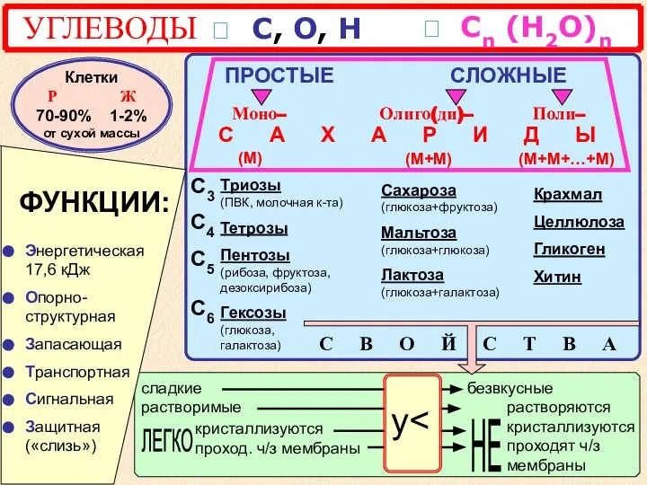 УГЛЕВОДЫ ? С, О, Н СЛОЖНЫЕ Моно– Олиго(ди)– Поли– С А