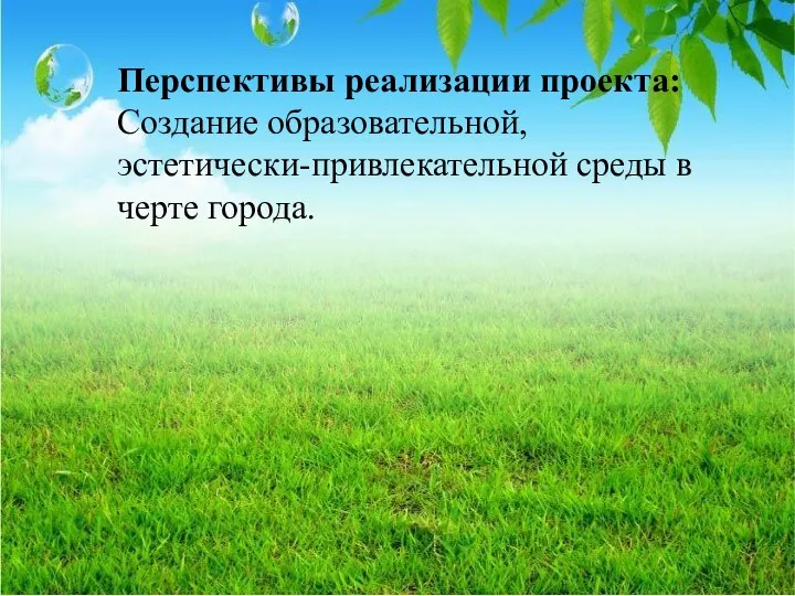 Перспективы реализации проекта: Создание образовательной, эстетически-привлекательной среды в черте города.