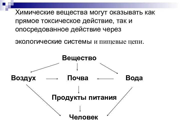 Химические вещества могут оказывать как прямое токсическое действие, так и опосредованное