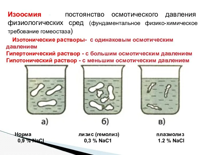 Изоосмия - постоянство осмотического давления физиологических сред (фундаментальное физико-химическое требование гомеостаза)