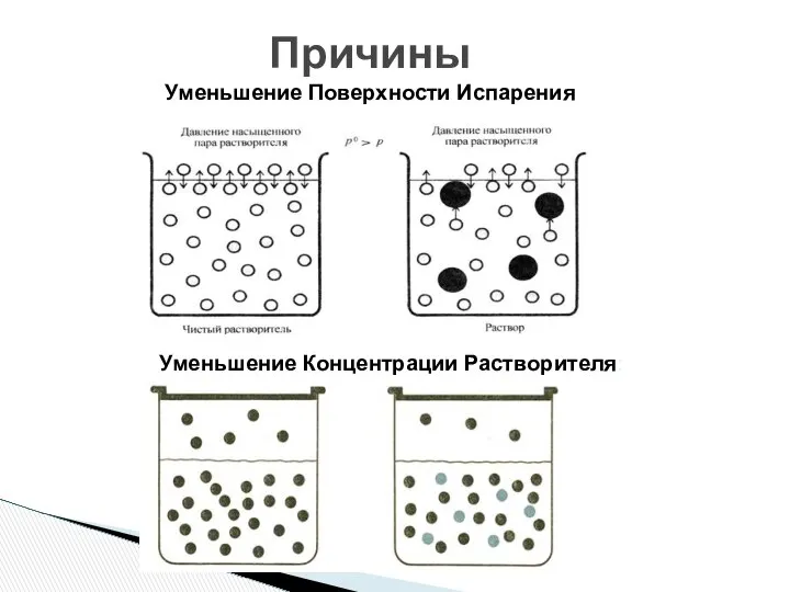 Причины Уменьшение Поверхности Испарения Уменьшение Концентрации Растворителя: