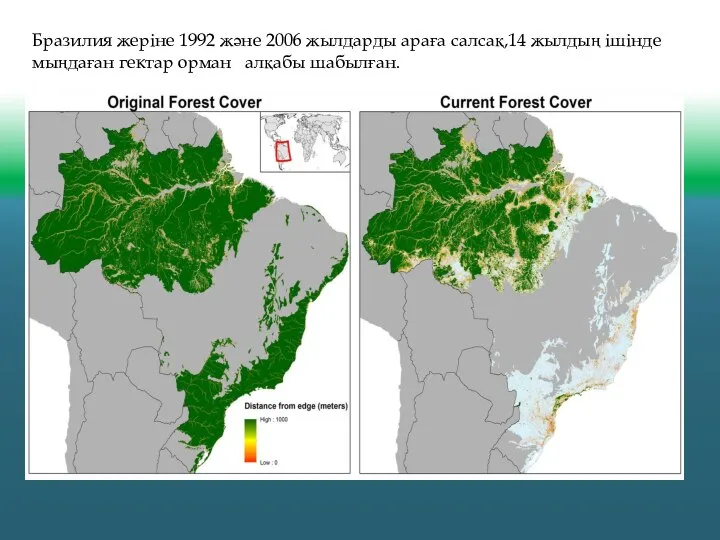 Бразилия жеріне 1992 және 2006 жылдарды араға салсақ,14 жылдың ішінде мыңдаған гектар орман алқабы шабылған.