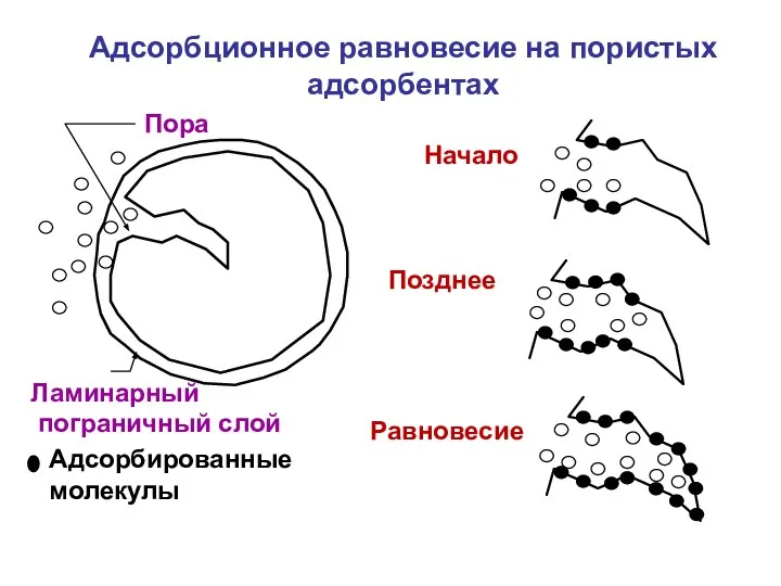 Адсорбционное равновесие на пористых адсорбентах Адсорбированные молекулы Равновесие Пора Начало Позднее Ламинарный пограничный слой