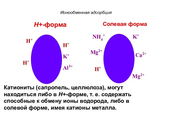 Ионообменная адсорбция Н+-форма Солевая форма Катиониты (сапропель, целлюлоза), могут находиться либо