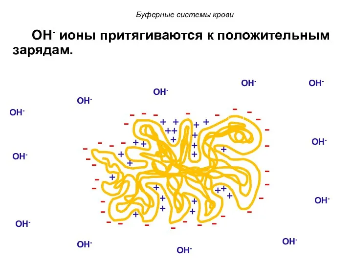 OH- ионы притягиваются к положительным зарядам. OH- OH- OH- OH- OH-