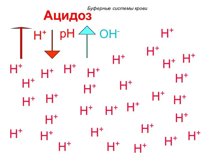 Ацидоз H+ H+ H+ H+ H+ H+ H+ H+ H+ H+