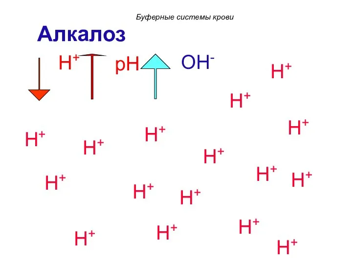 H+ H+ H+ H+ H+ H+ H+ H+ H+ H+ H+