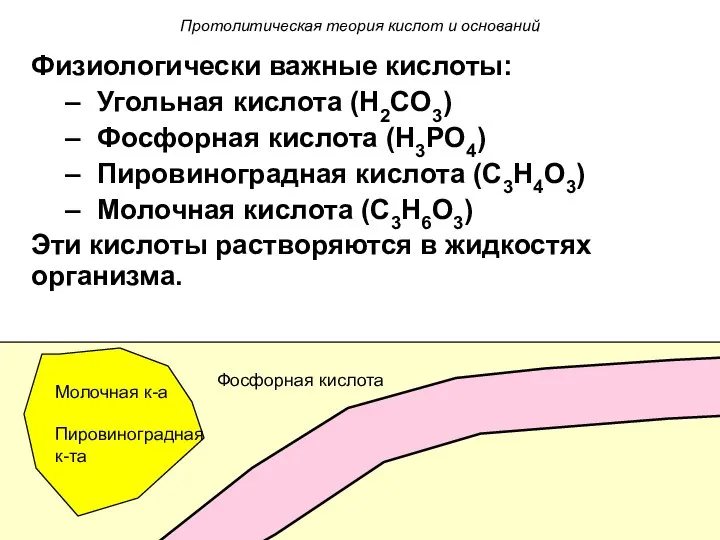 Физиологически важные кислоты: Угольная кислота (H2CO3) Фосфорная кислота (H3PO4) Пировиноградная кислота