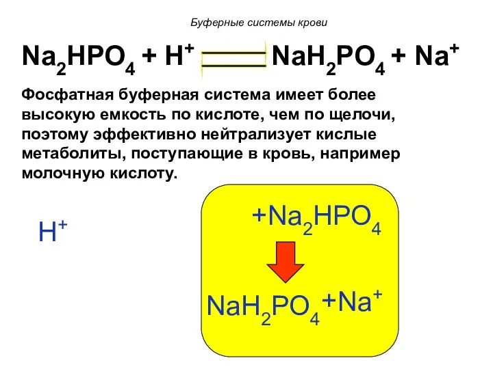 Na2HPO4 + H+ NaH2PO4 + Na+ H+ Na2HPO4 + NaH2PO4 Na+