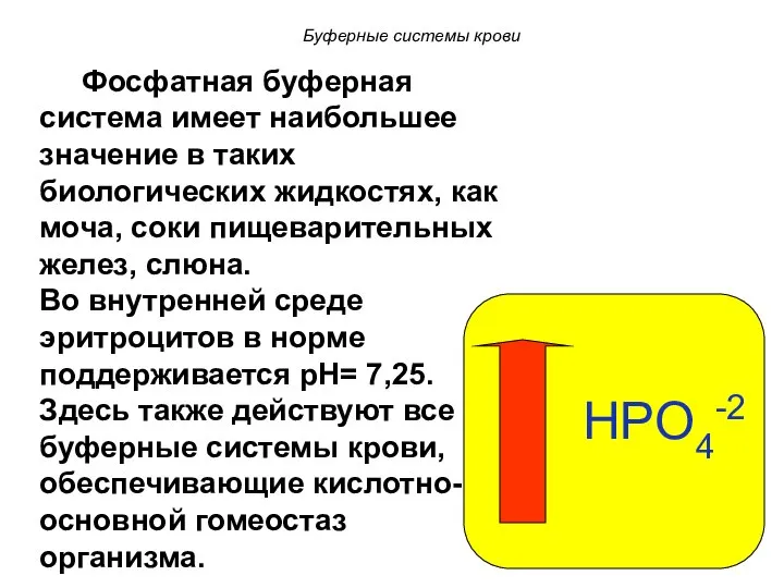 HPO4-2 Фосфатная буферная система имеет наибольшее значение в таких биологических жидкостях,