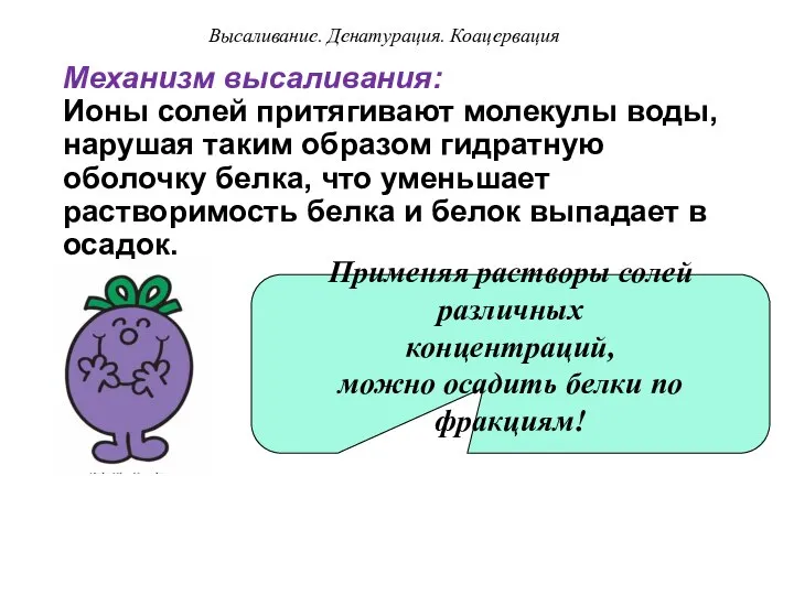 Механизм высаливания: Ионы солей притягивают молекулы воды, нарушая таким образом гидратную