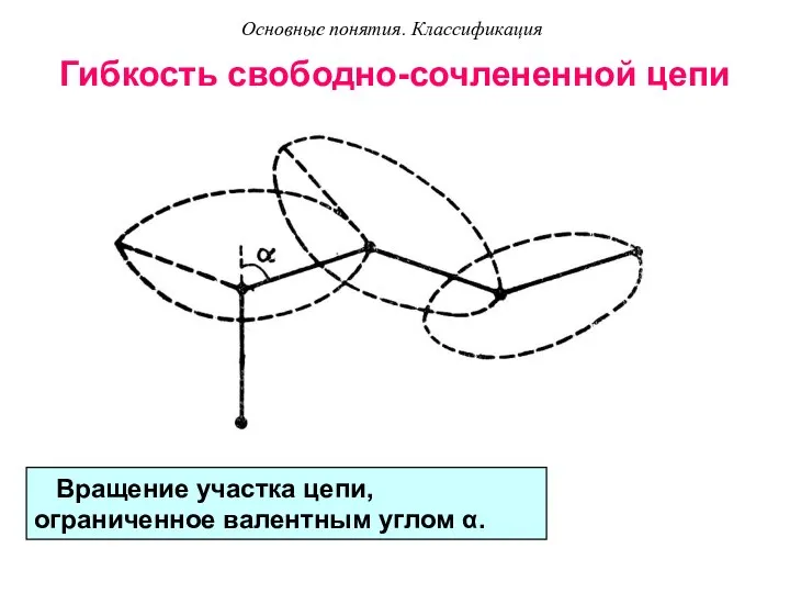 Гибкость свободно-сочлененной цепи Вращение участка цепи, ограниченное валентным углом α. Основные понятия. Классификация