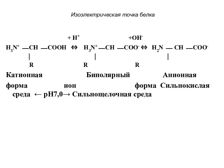 Изоэлектрическая точка белка + H+ +ОH- H3N+ ⎯ CH ⎯ COOH