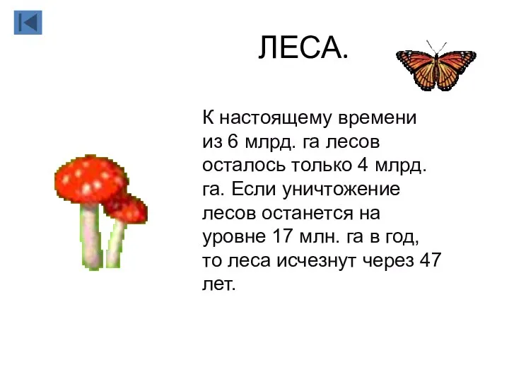 ЛЕСА. К настоящему времени из 6 млрд. га лесов осталось только