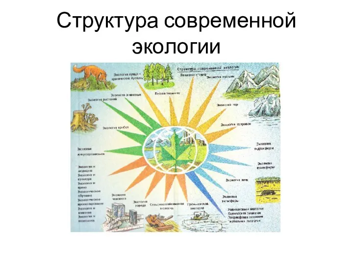 Структура современной экологии