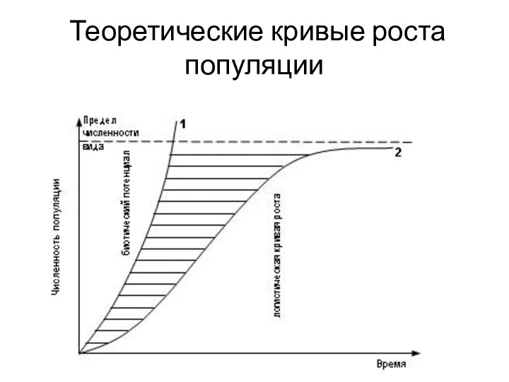 Теоретические кривые роста популяции