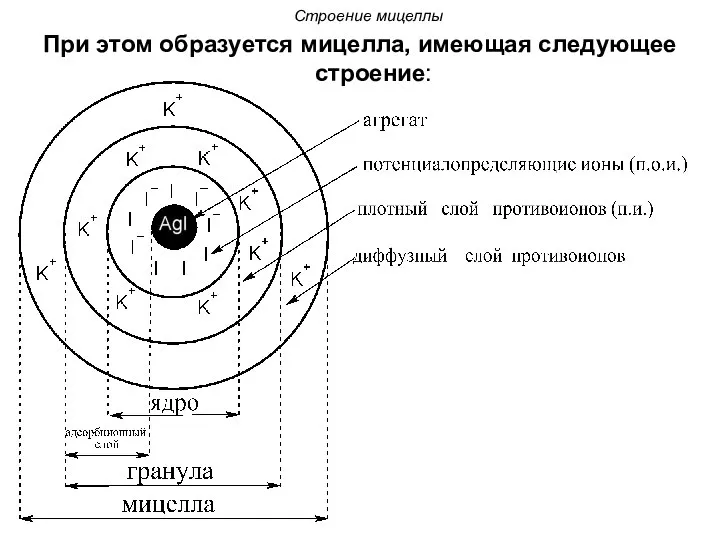 Строение мицеллы При этом образуется мицелла, имеющая следующее строение: