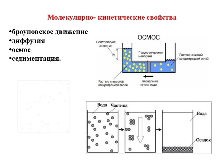 Молекулярно- кинетические свойства броуновское движение диффузия осмос седиментация.