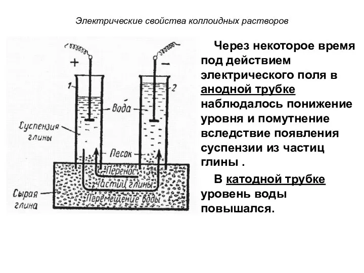 Электрические свойства коллоидных растворов Через некоторое время под действием электрического поля