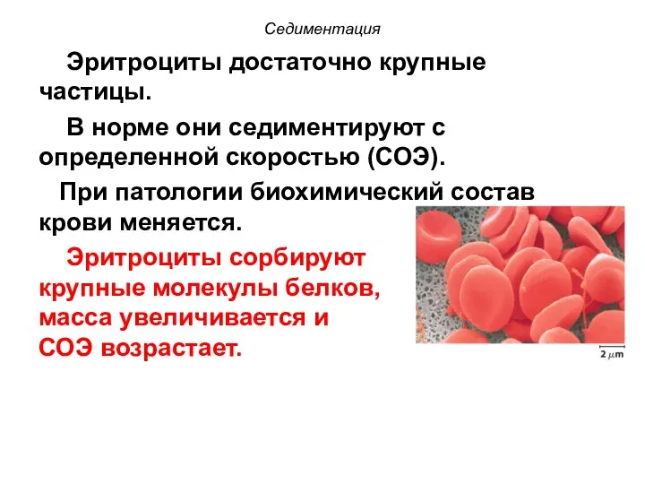 Седиментация Эритроциты достаточно крупные частицы. В норме они седиментируют с определенной