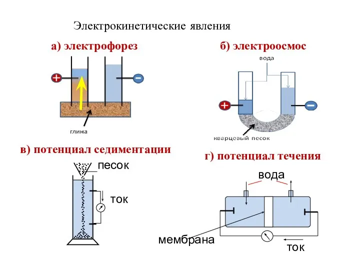 а) электрофорез б) электроосмос в) потенциал седиментации мембрана вода Электрокинетические явления