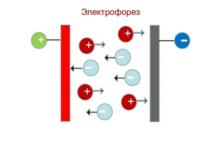 Электрофорез