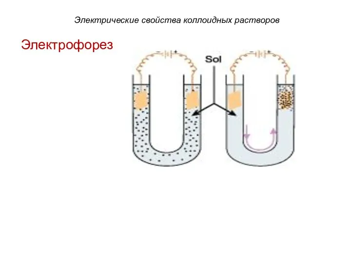 Электрические свойства коллоидных растворов Электрофорез