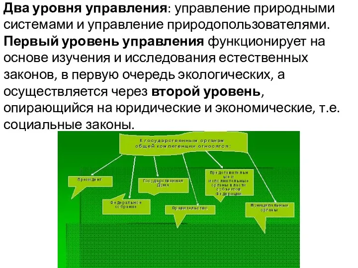 Два уровня управления: управление природными системами и управление природопользователями. Первый уровень