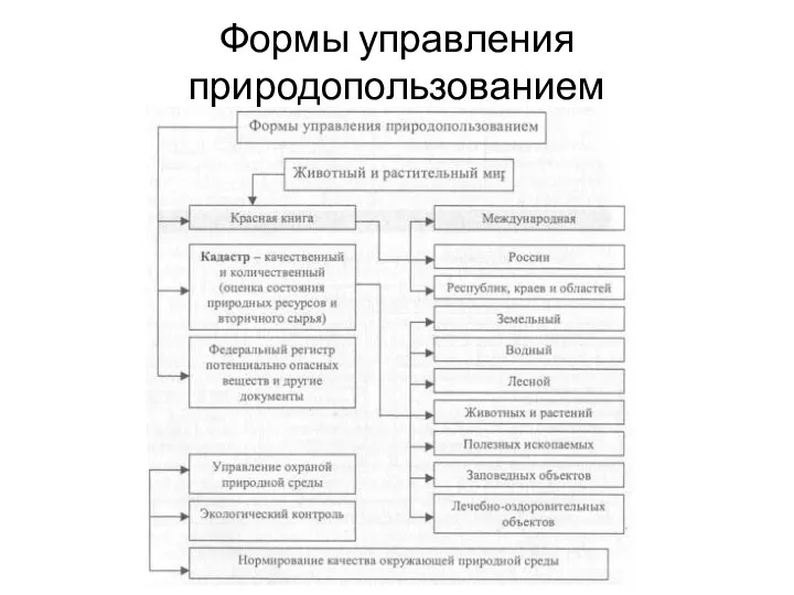 Формы управления природопользованием