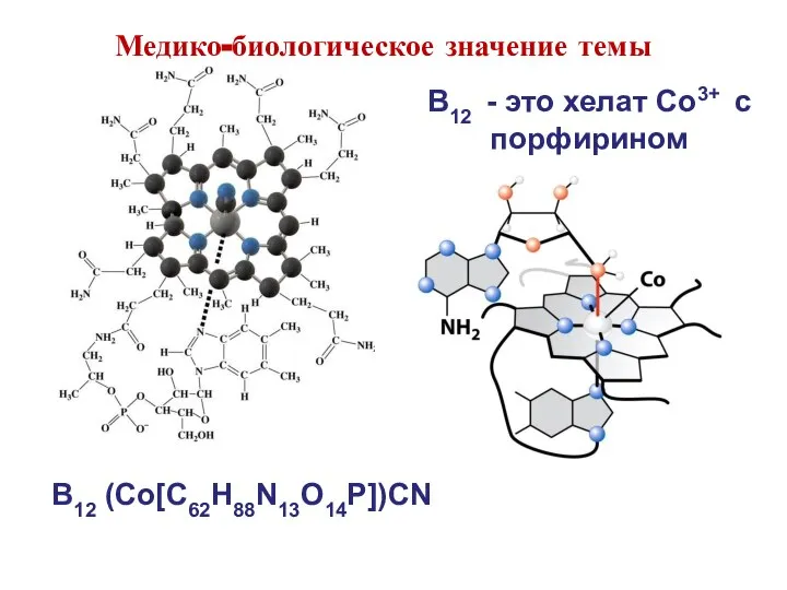 B12 (Co[C62H88N13O14P])CN B12 - это хелат Co3+ c порфирином Медико-биологическое значение темы