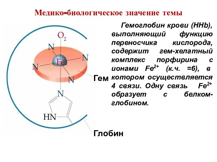 Гемоглобин крови (HHb), выполняющий функцию переносчика кислорода, содержит гем-хелатный комплекс порфирина