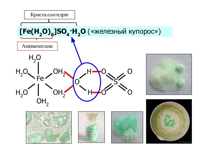 Аквакомплексы [Fe(H2O)6]SO4·H2O («железный купорос»)