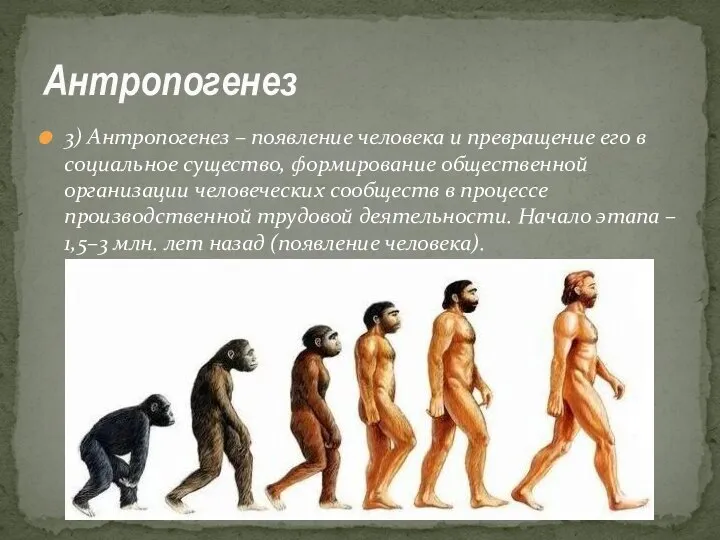 3) Антропогенез – появление человека и превращение его в социальное существо,