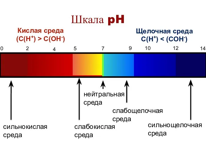 Шкала pH 0 2 4 5 7 9 10 12 14