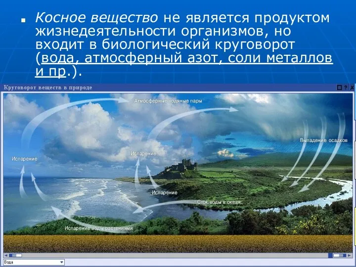 Косное вещество не является продуктом жизнедеятельности организмов, но входит в биологический