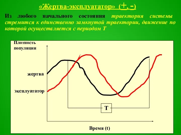 «Жертва-эксплуататор» (+, -) Из любого начального состояния траектория системы стремится к