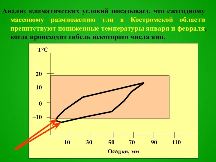 Анализ климатических условий показывает, что ежегодному массовому размножению тли в Костромской
