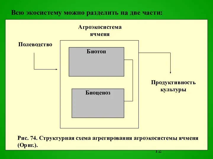 Всю экосистему можно разделить на две части: Pис. 74. Структурная схема