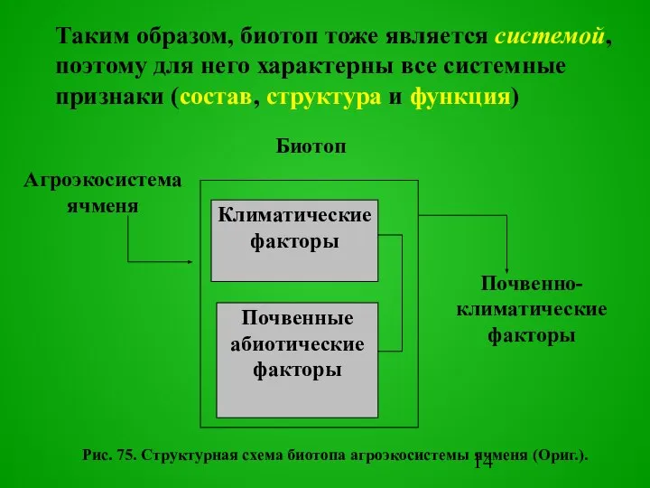 Pис. 75. Структурная схема биотопа агроэкосистемы ячменя (Оpиг.). Агроэкосистема ячменя Почвенно-климатические