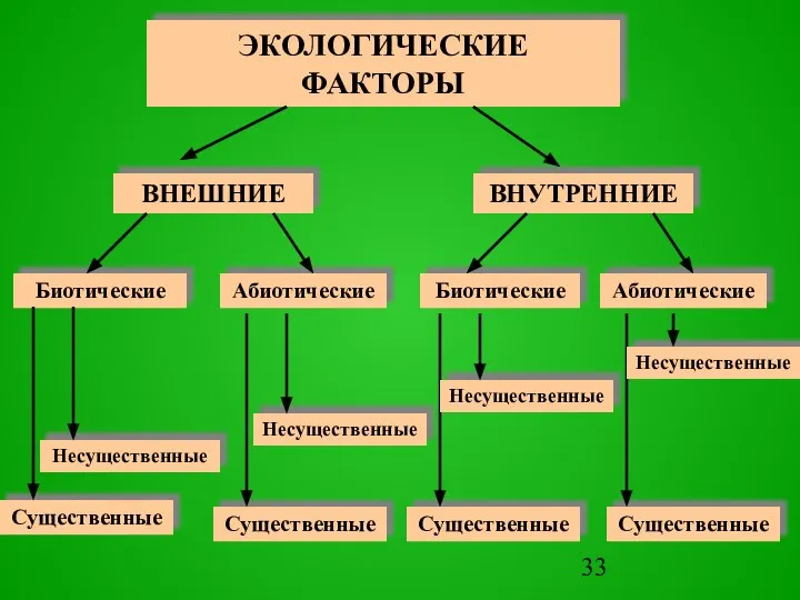 ЭКОЛОГИЧЕСКИЕ ФАКТОРЫ