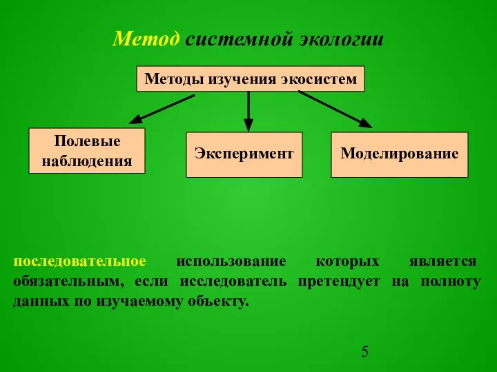 Метод системной экологии Методы изучения экосистем последовательное использование которых является обязательным,