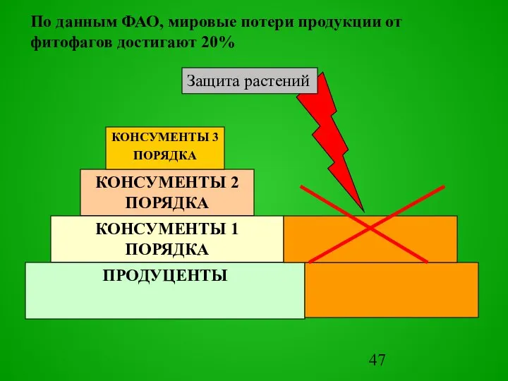 ПРОДУЦЕНТЫ КОНСУМЕНТЫ 1 ПОРЯДКА КОНСУМЕНТЫ 2 ПОРЯДКА КОНСУМЕНТЫ 3 ПОРЯДКА По