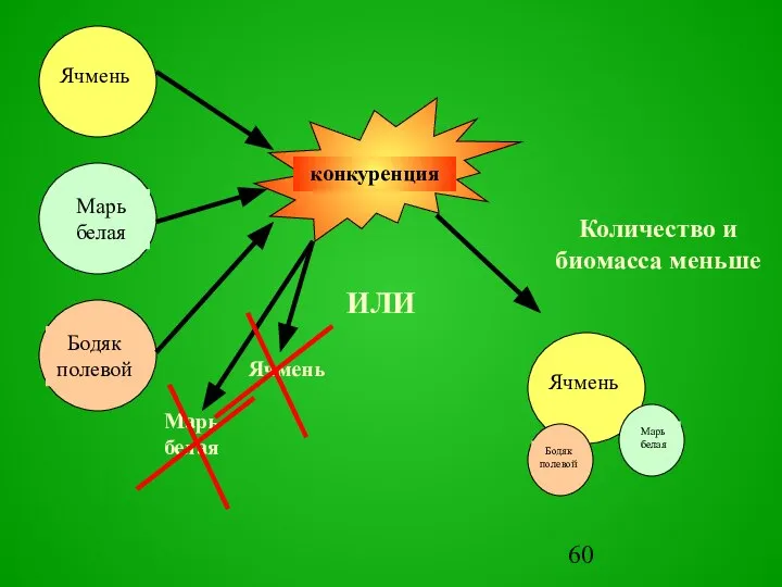 ИЛИ Количество и биомасса меньше