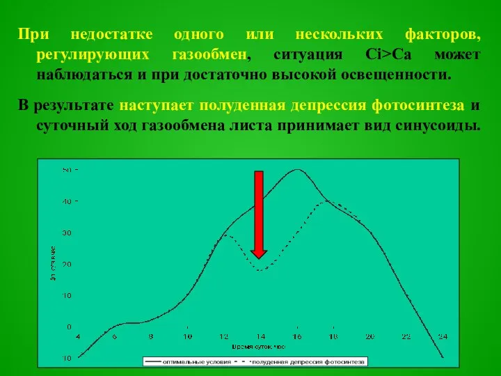 При недостатке одного или нескольких факторов, регулирующих газообмен, ситуация Ci>Ca может