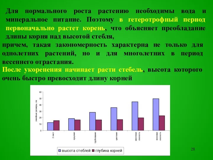 причем, такая закономерность характерна не только для однолетних растений, но и